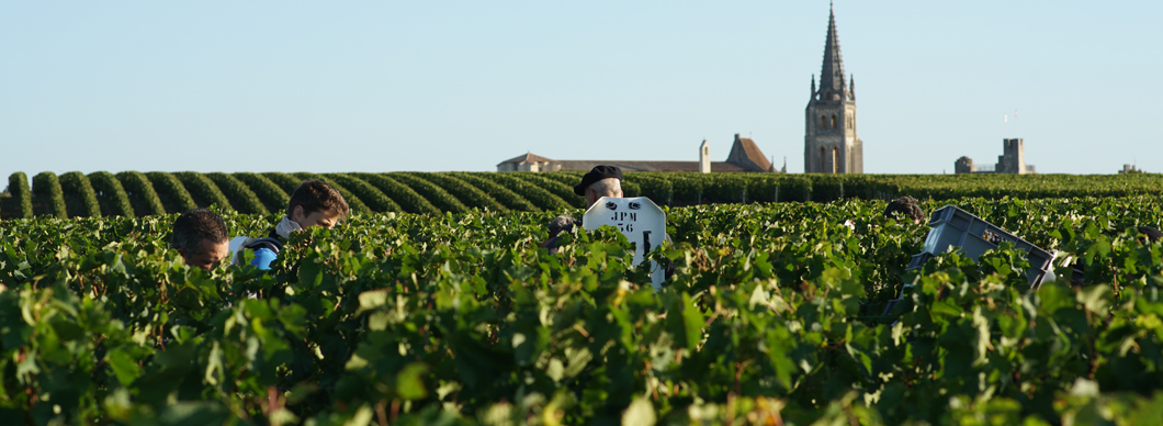 Vintage Report – Bordeaux 2021: Back to the Future