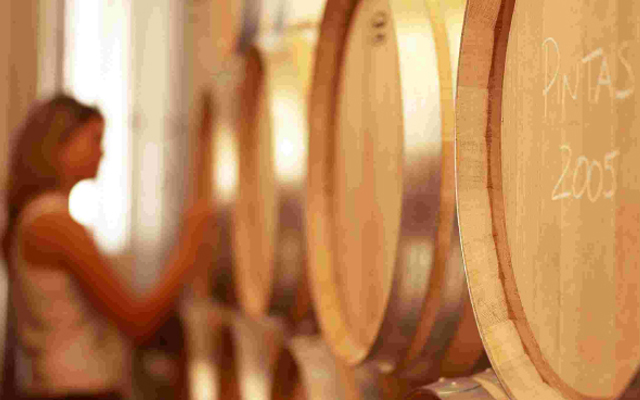 Winemaking, barrels in cellar